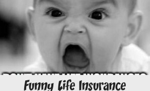 Funny Insurance Quotes Jokes